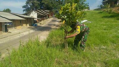 Penanaman dan perawatan pohon