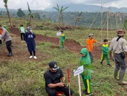 Kolaborasi Dishut Jabar dan Relawan Lingkungan, 1000 Pohon Ditanam di Cimanggung Sumedang