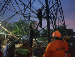 Aksi Percobaan Bunuh Diri Pemuda dengan Naik Tower Listrik, Hebohkan Warga di Sumedang