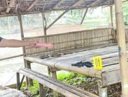 Setubuhi Anak 15 Tahun di Kebun Sawit, Seorang Pria Usia 39 Tahun Diringkus Polisi