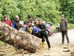 Pohon Tumbang di Cicalengka, Polisi Pastikan Tak Ada Korban
