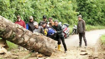 Pohon Tumbang di Cicalengka, Polisi Pastikan Tak Ada Korban