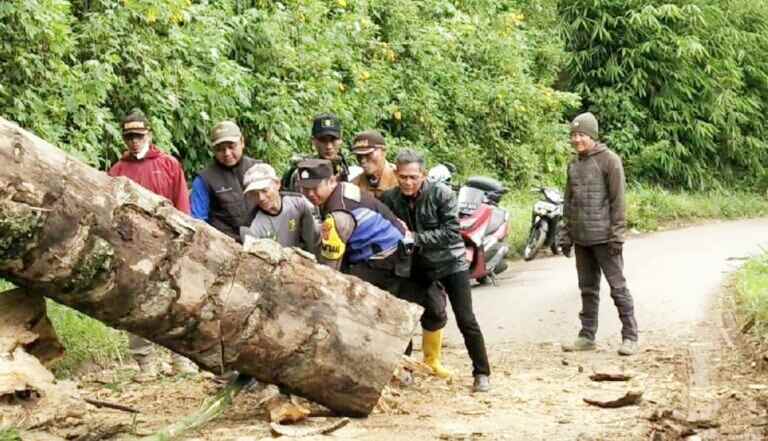 Pohon tumbang di Cicalengka
