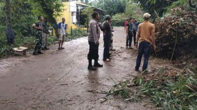 Pohon Tumbang di Arjasari