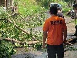Oktober Curah Hujan Tinggi, BPBD Minta Masyarakat Kenali Potensi Bencana
