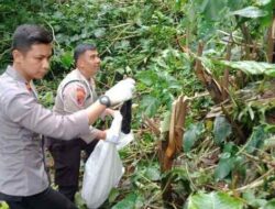 Dipenuhi Sampah Pakaian Dalam Wanita, Polisi Bersihkan Situs Budaya di Ciwidey