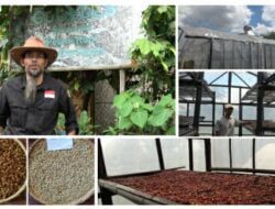 SITH ITB Bantu Petani Kopi di Sumedang Bangun Green House Untuk Pengeringan Biji Kopi