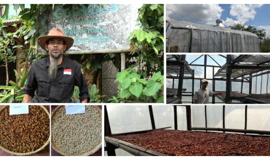 Green House Pengeringan Kopi