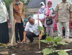 Perkuat Ketahanan Pangan, Kampung Tematik Hadir di Rancasari