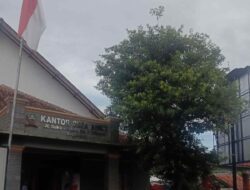 Tumbuh Subur di Halaman Desa Ambit Situraja Sumedang, Ini Khasiat Pohon Ki Ambit Bagi Kesehatan