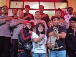Clear Kasus Pemuda di Sumedang Penganiaya Kucing dan Anjing Berakhir Mediasi