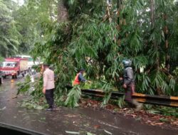 Pohon Bambu Tutup Akses Jalan Raya Bandung-Sumedang di Cigendel Pamulihan
