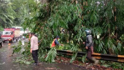 Pohon Bambu Tutup Sebagian Jalan
