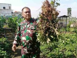 Satgas Citarum Harum Ubah Lahan Gersang Jadi Areal Pertanian