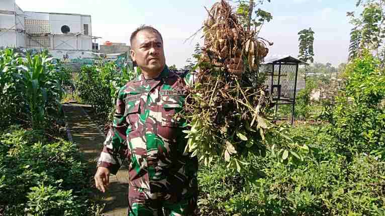 Lahan Gersang Jadi Areal Pertanian