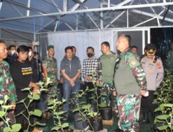 Integrated Farming Kodim Sumedang, Sarana Membentuk Karakter Budaya Tani Usia Dini