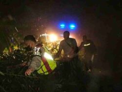 Pohon Tumbang Tutup Jalan Raya Pacet-Cibeureum, Polisi Langsung Bergerak