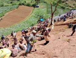 Go Green, Ribuan Bibit Pohon Keras Ditanam di Kawasan Pangalengan