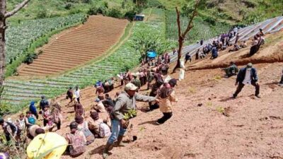 Go Green, Ribuan Bibit Pohon Keras Ditanam di Kawasan Pangalengan