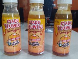Hasil Penelitian ITB, Kembangkan Lebah Tanpa Sengat Sebagai Produsen Serbuk Makanan