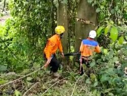Hati-hati Melintas Cadas Pangeran, Ada Penebangan Pohon oleh BPBD Sumedang