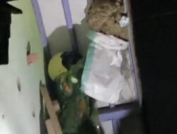 Sarang Tawon Sebesar Galon di Sumedang Berhasil Dievakuasi Relawan Bencana
