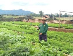 Tunjang Ketahanan Pangan Pemdes Cijati Sumedang Tanam Ratusan Pohon