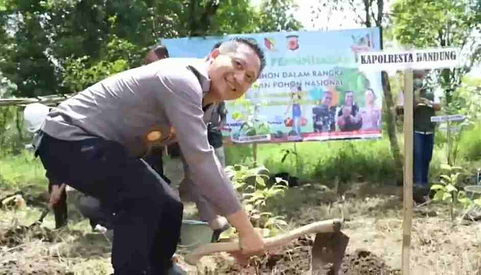 Tanam Pohon di Kamojang