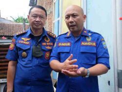 Viral Gerombolan Monyet ke Permukiman di Bandung, Diskar PB Bongkar Faktanya