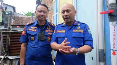 Viral Gerombolan Monyet ke Permukiman di Bandung, Diskar PB Bongkar Faktanya