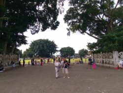 Mengenal Mitos “Masangin” Melewati Caringin Kembar di Alun-alun Kidul Jogjakarta