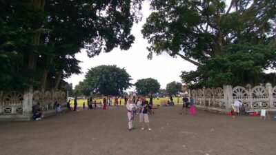 Mengenal Mitos “Masangin” Melewati Caringin Kembar di Alun-alun Kidul Jogjakarta