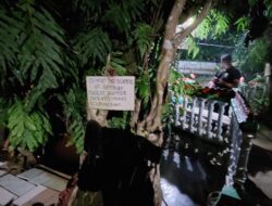 Ajaib! Pohon Kiara di Sumedang Ini Bisa Tumbuh Ratusan Tahun di Sumber Mata Air Panas