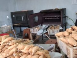 Memasuki Musim Liburan Omzet Penjualan Ubi Cilembu Kembali Menggeliat