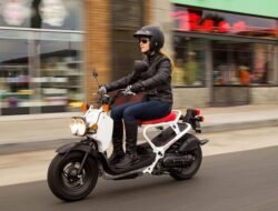 Mengenal Honda Ruckus, Motor Matic Berpenampilan Unik