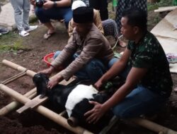 Masyarakat Desa di Sumedang Ini Gelar Ritual ‘Numbal Lembur’ dengan Memotong Kambing Kenit