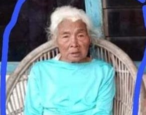 Nenek hilang