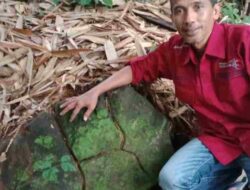 Begini Kronologis Penemuan Batu Andesit Jutaan Tahun Lalu di Ganeas Sumedang