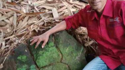 Batu Andesit Berusia Jutaan Tahun