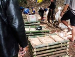 Kawanan Monyet Liar di Sumedang Dinilai Potensi Jadi Daya Tarik Wisata