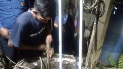 Kurang dari 1 Jam, Petugas Damkar Sumedang Evakuasi Kambing Terperosok ke Sumur