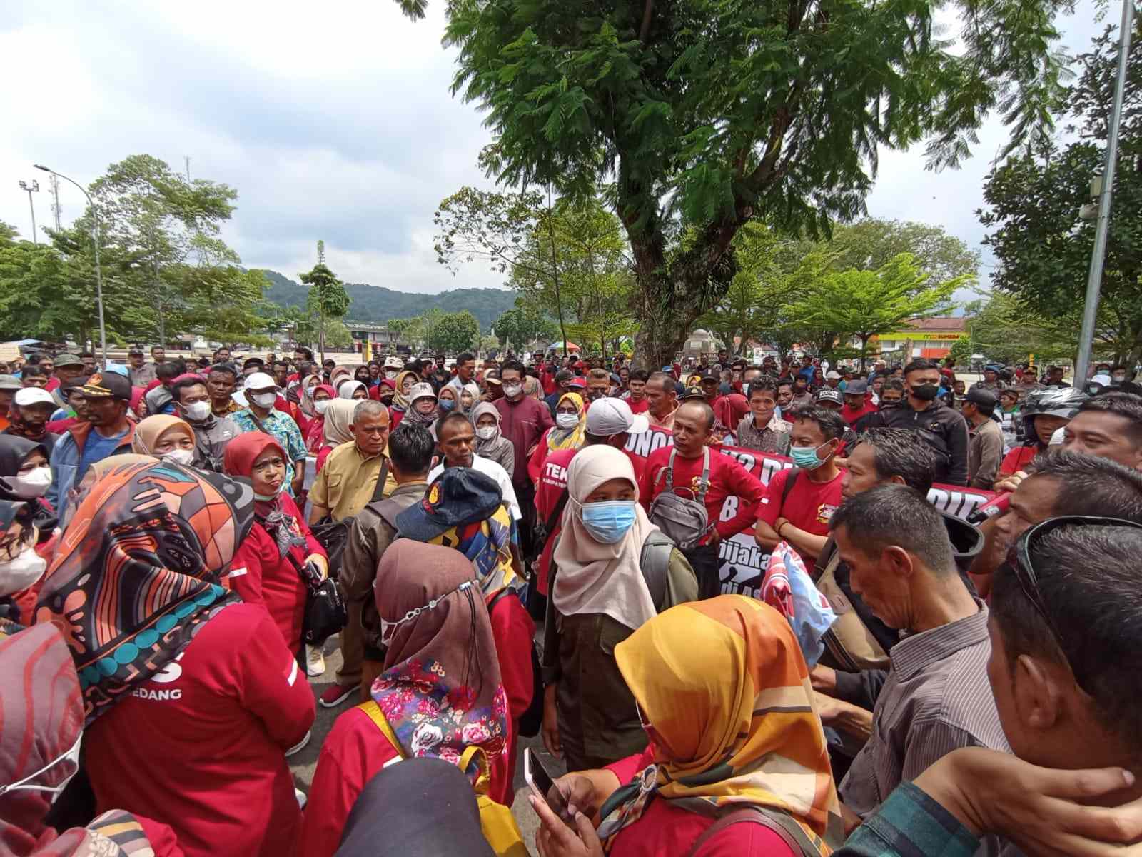 Honorer Kategori II