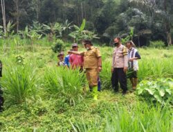 Di Sumedang Ada Kelurahan Rasa Pedesaan, Ini Alasannya