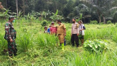 Kelurahan Cipameungpeuk
