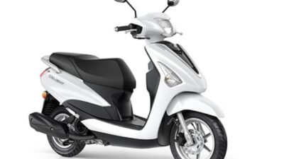 Yamaha Delight