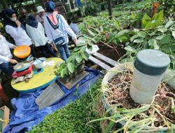 Bantu Produksi Pertanian di Bandung, BI Jawa Barat Sebar 1.500 OTG