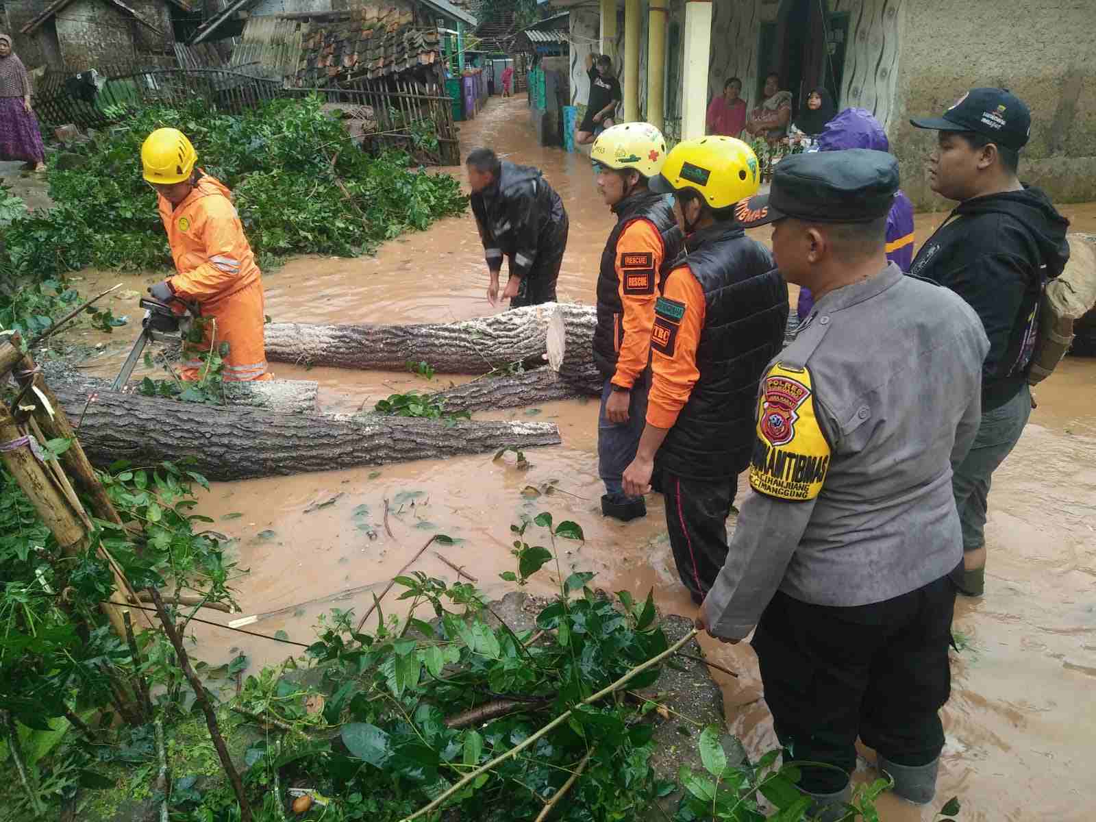 Pohon Besar Tumbang