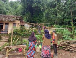Timpa Rumah Warga, BPBD Sumedang Evakuasi Pohon Tumbang
