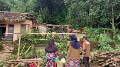Timpa Rumah Warga, BPBD Sumedang Evakuasi Pohon Tumbang