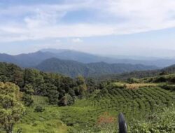 Akses Jalan Cisoka dan Cibubut Segera Dibangun, View Puncak Bogor Bakal Tersaji di Sumedang